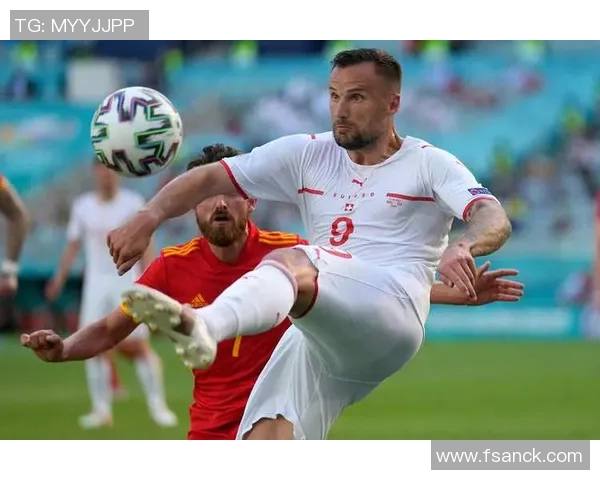 瑞士足球明星平均年龄分析及其对球队表现的影响探讨 瑞士足球明星平均年龄分析及其对球队表现的影响探讨